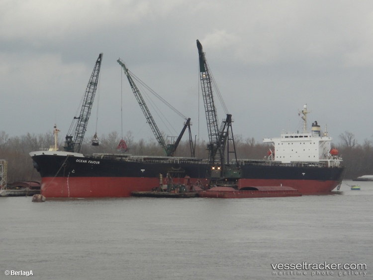 Marine-Fortune1 - Bulk Carrier