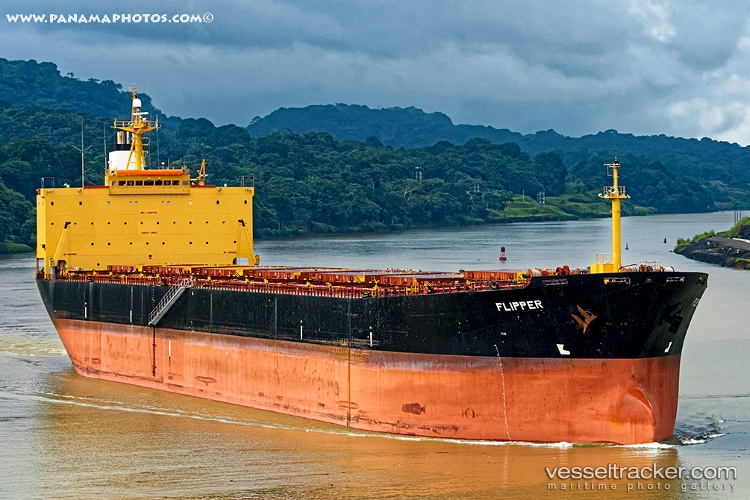 Hongsheng - Bulk Carrier vessel