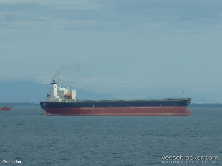 Da-Tang-02 - Bulk Carrier vessel