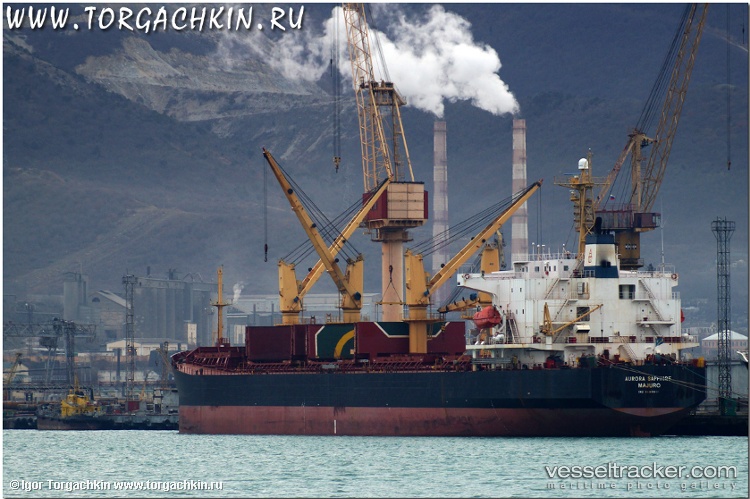 Brave-Royal - Bulk Carrier vessel