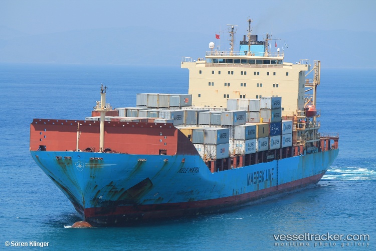 Ciccio - Container Ship vessel