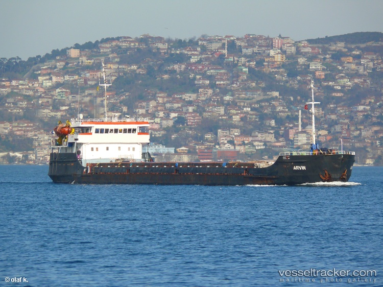 Arvin - Bulk Carrier vessel