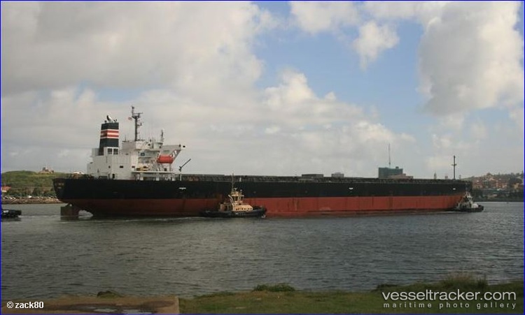 Great-Wenwu - Bulk Carrier vessel
