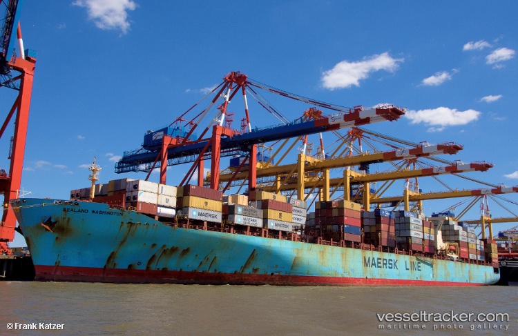 Msc-Alma-Vii - Container Ship vessel