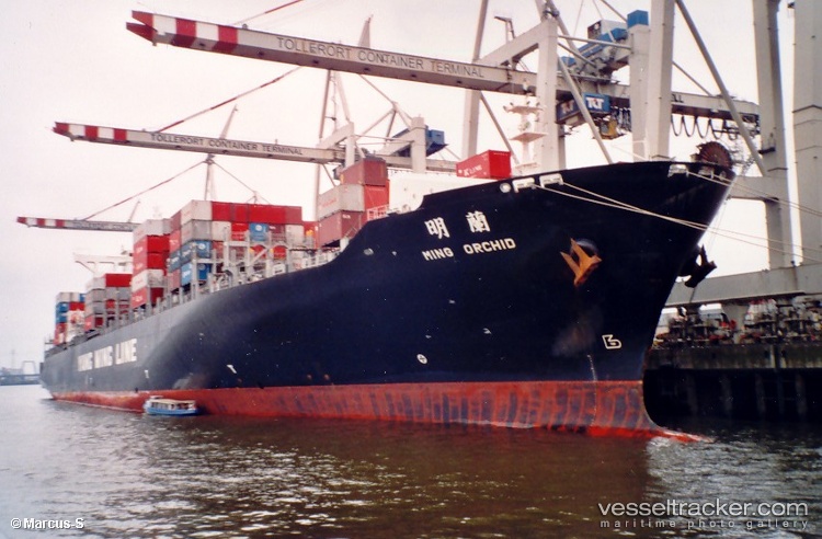 Ym-Orchid - Container Ship vessel