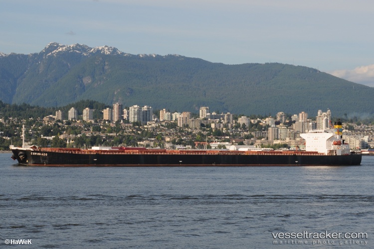 Xin-Dong-Guan-11 - Bulk Carrier vessel