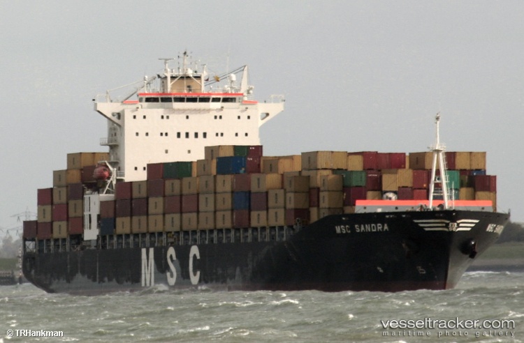 Msc-Sandra