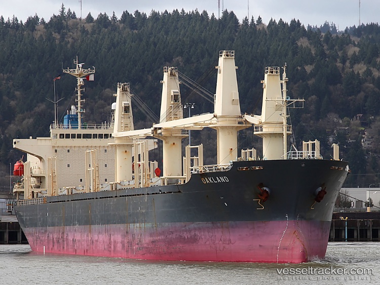 Seiyo-Lucky - Bulk Carrier vessel
