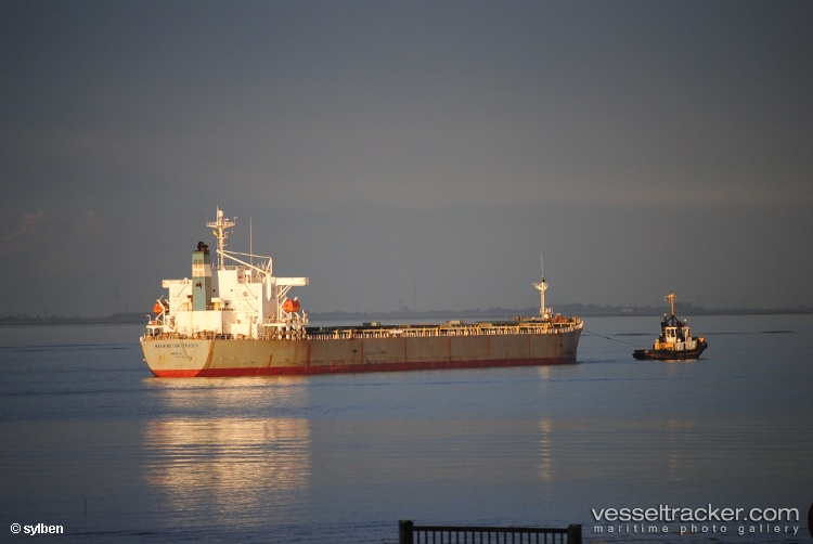 Xin-Yuan-Chun - Bulk Carrier vessel