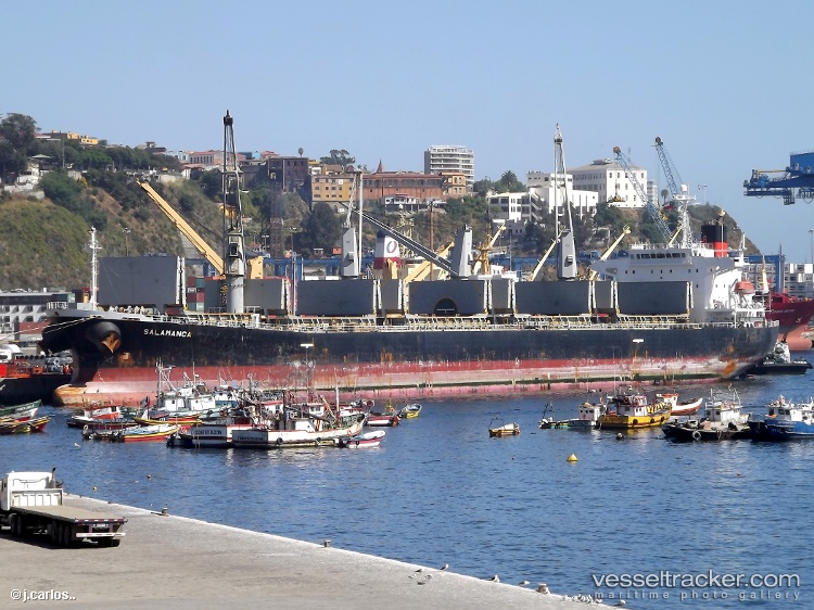 Forum - Bulk Carrier vessel
