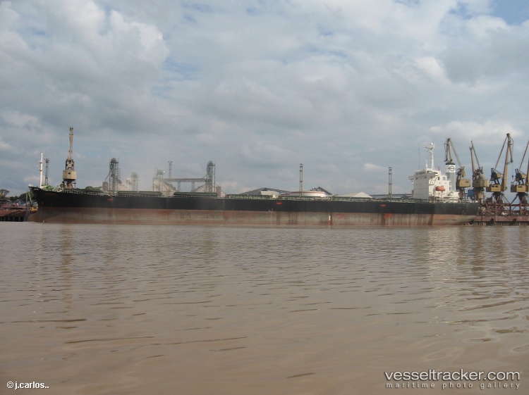 Great-Wenxiang - Bulk Carrier vessel