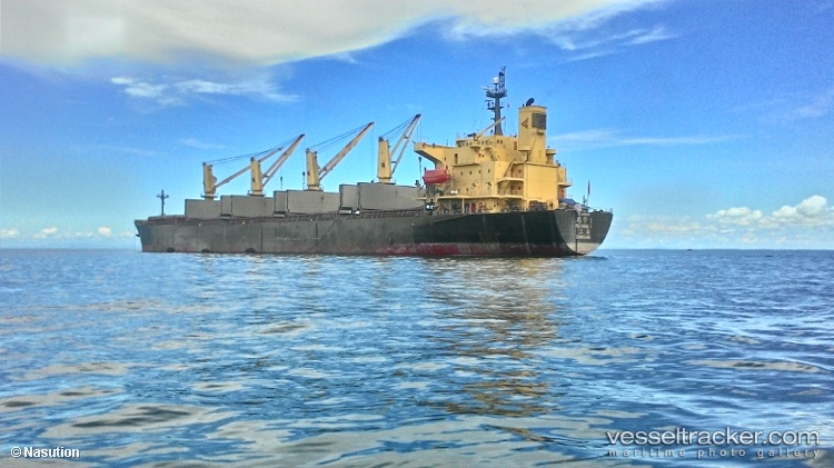 Rui-Ning-1 - Bulk Carrier vessel