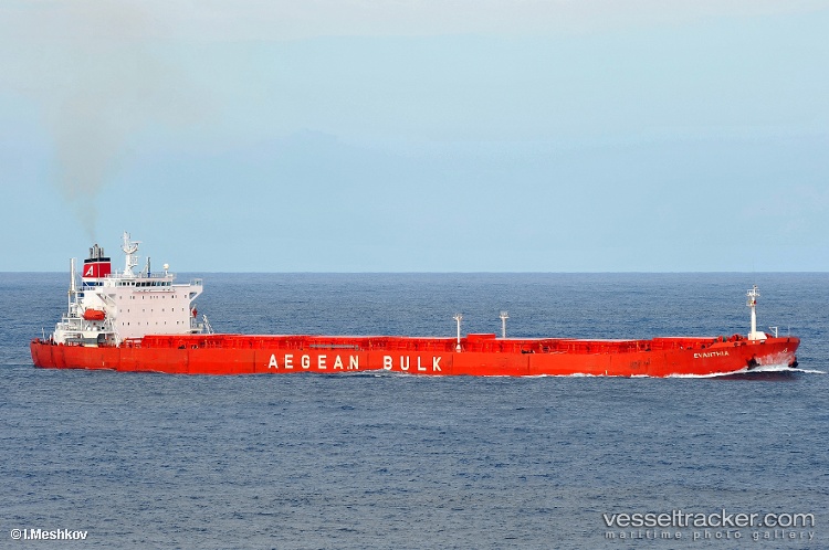 Nan-Xin-9 - Bulk Carrier vessel