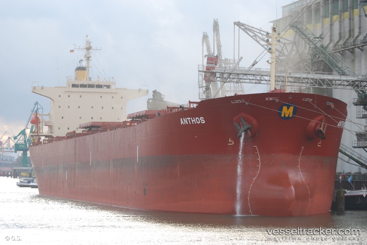 Anthos - Bulk Carrier vessel