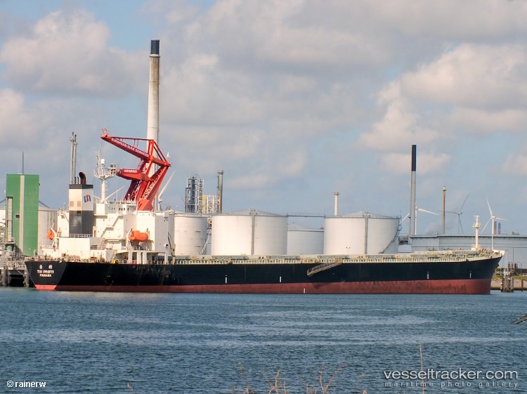 Vela-Prime - Bulk Carrier vessel