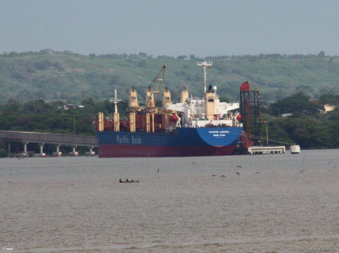 Newsun - Bulk Carrier vessel