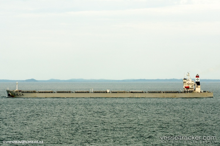 In-Warship-D60 - Bulk Carrier vessel
