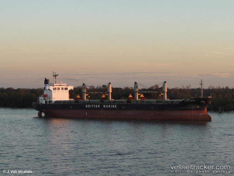Tingjiang - Bulk Carrier vessel