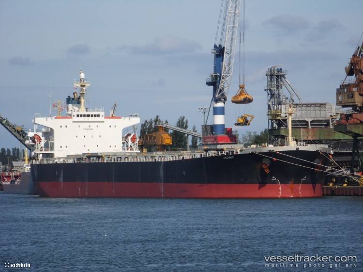 Arcturus - Bulk Carrier vessel