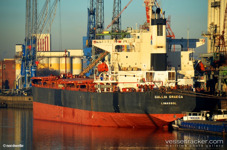 Xiangming - Bulk Carrier vessel