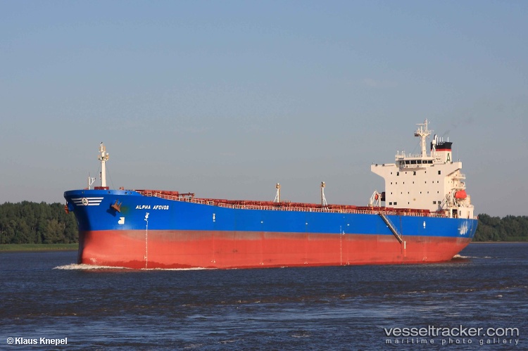Sea-Maple - Bulk Carrier vessel
