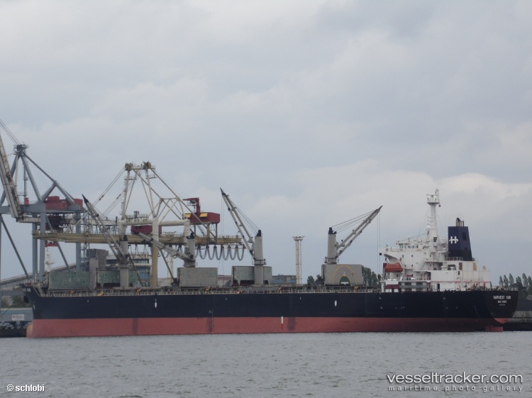 Vienna - Bulk Carrier vessel