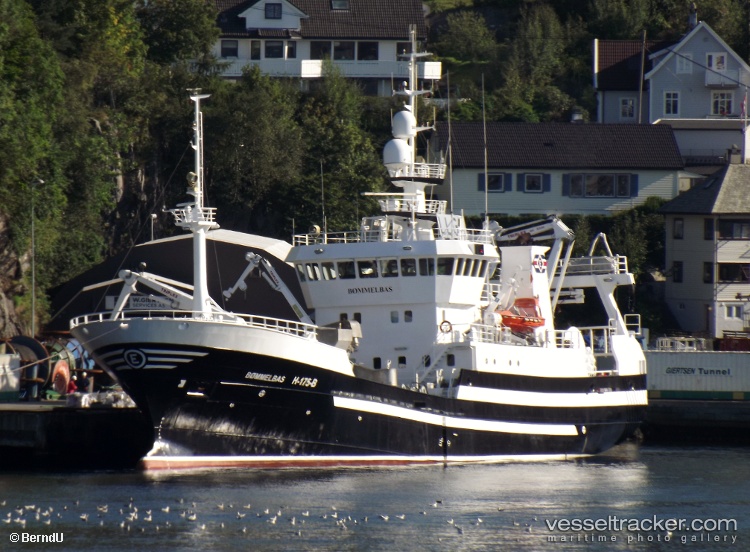 Boemmelbas - Fish Carrier vessel