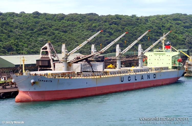 Sino-Harvest - Bulk Carrier vessel