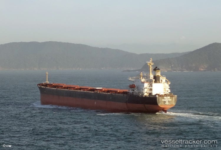 Ripley-Progress - Bulk Carrier vessel