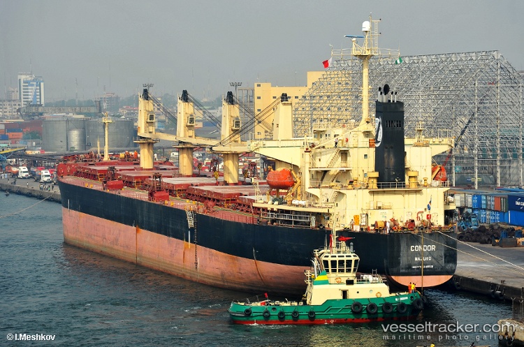 Asian-Wisdom - Bulk Carrier vessel