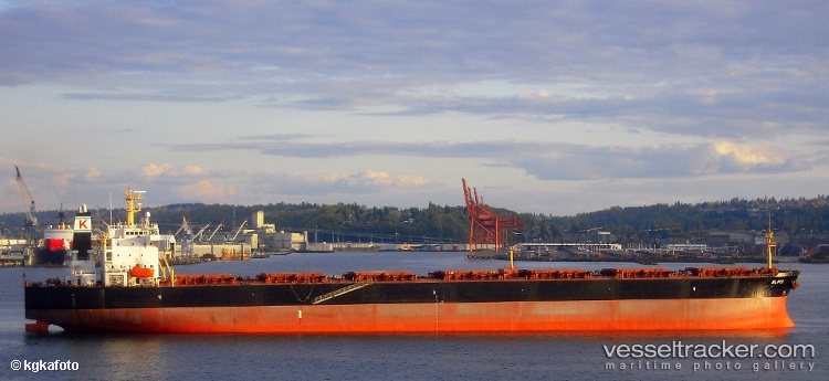 Yi-Peng - Bulk Carrier vessel
