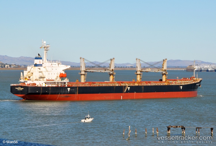 Chang-Xin-658 - Bulk Carrier vessel