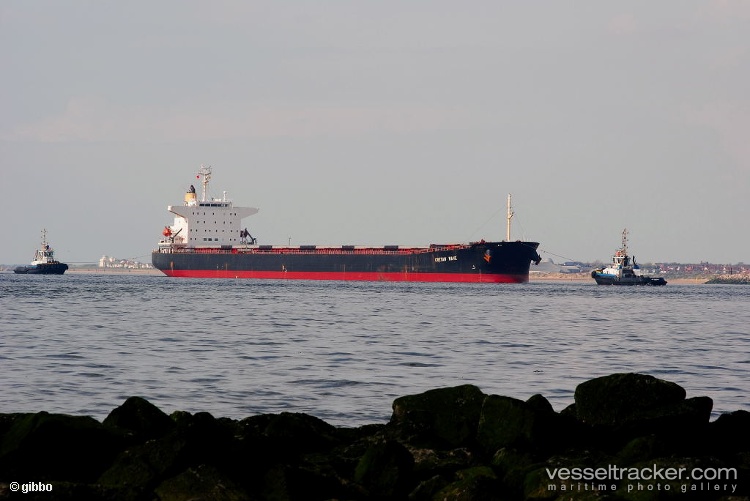 Scrooge-Mcduck - Bulk Carrier vessel