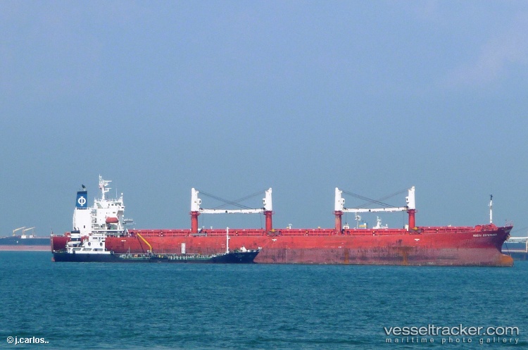 Yu-Xiao-1 - Bulk Carrier vessel