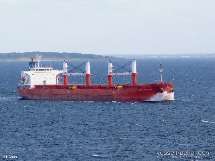 Yu-Xiao-7 - Bulk Carrier vessel