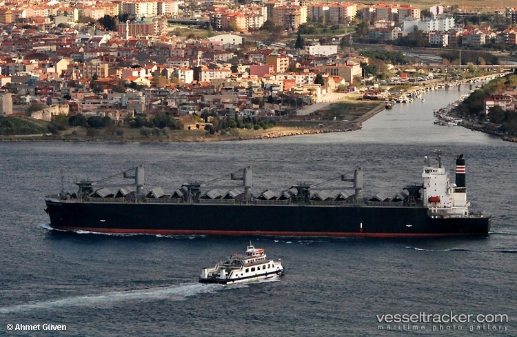 Thanh-Thanh-Dat-8999 - Wood Chips Carrier vessel