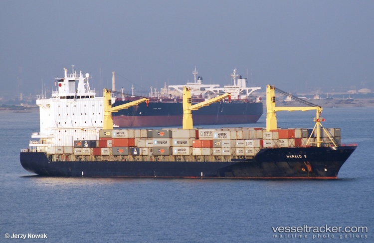 Spil-Nita - Container Ship vessel