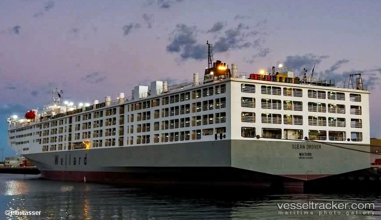 Ocean-Drover - Livestock Carrier