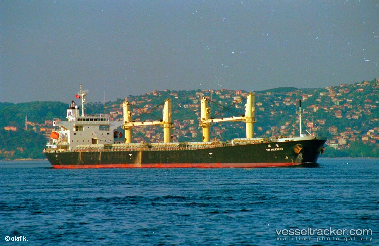 Lofty-Mountain - Bulk Carrier vessel