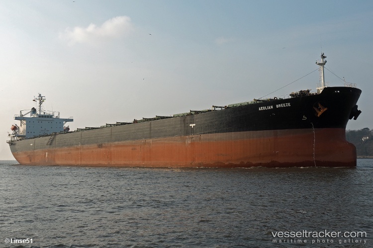 Zhun-Xing-7 - Bulk Carrier vessel