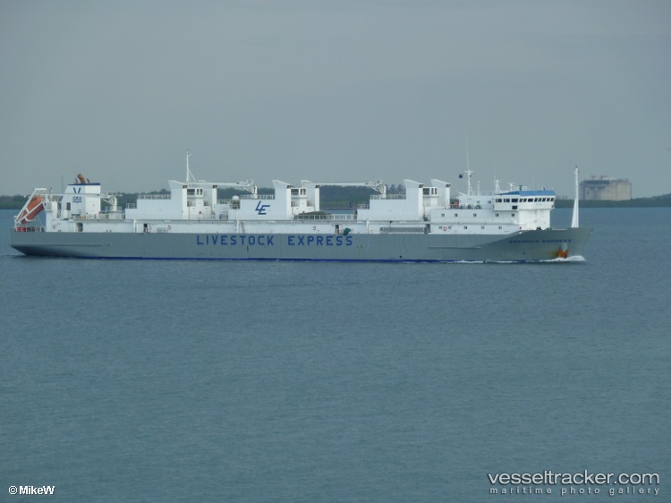 Brahman-Express - Livestock Carrier vessel