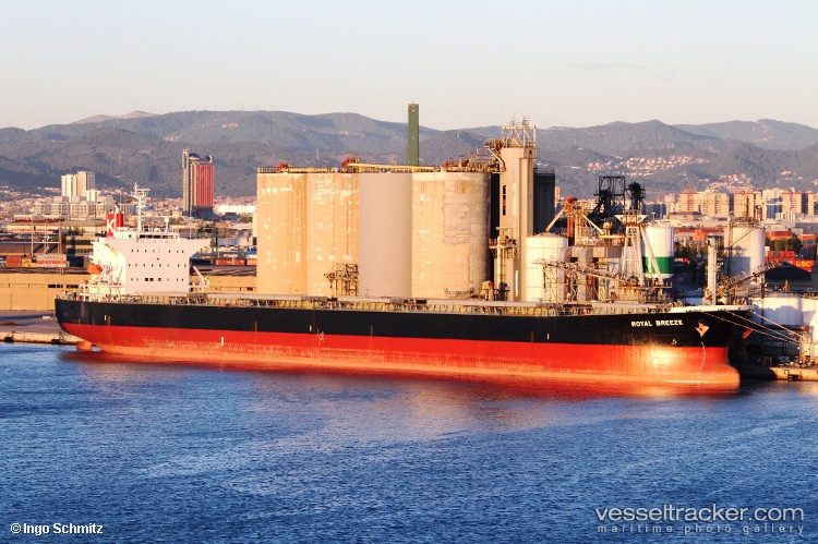 Long-Shan-Hu - Bulk Carrier vessel
