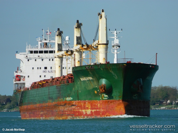 Mandarin - Bulk Carrier
