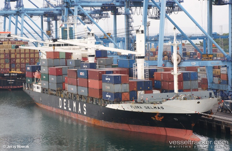 Flora-Delmas - Container Ship vessel