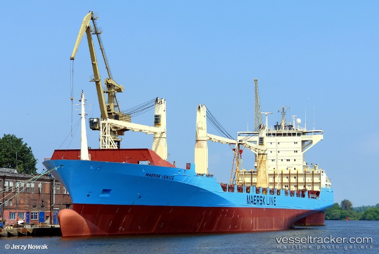 Msc-Amy - Container Ship vessel