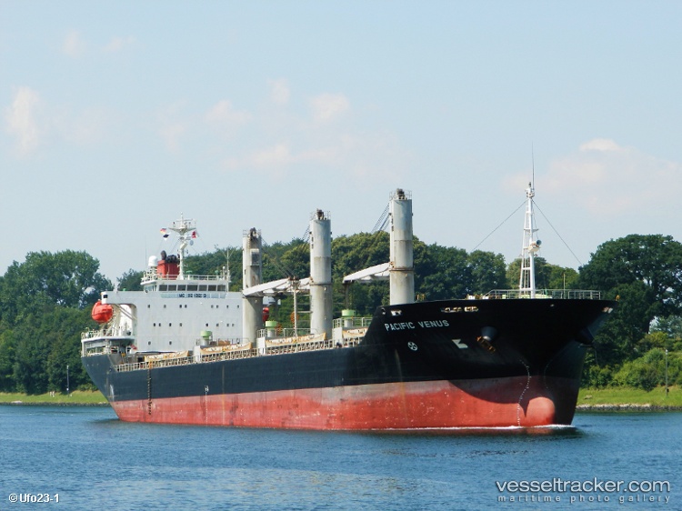Adnan-Torlak - Bulk Carrier vessel