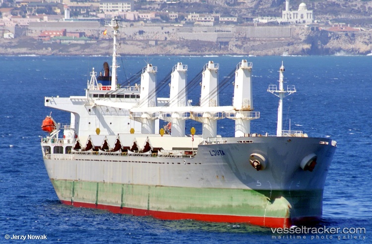 True-Brother - Bulk Carrier vessel