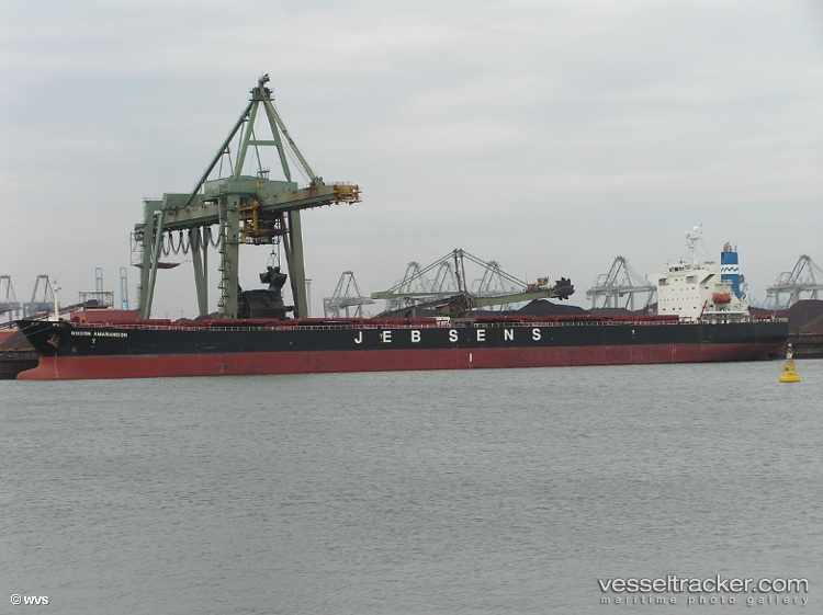 Xin-Yu - Bulk Carrier vessel