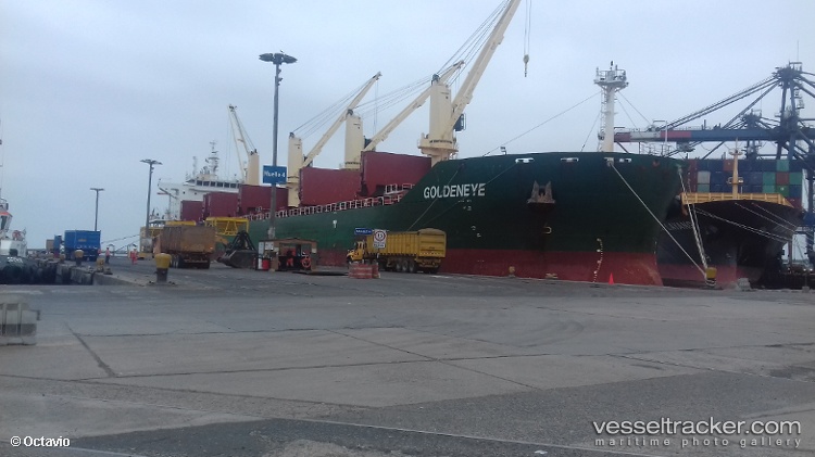 Majesty - Bulk Carrier vessel