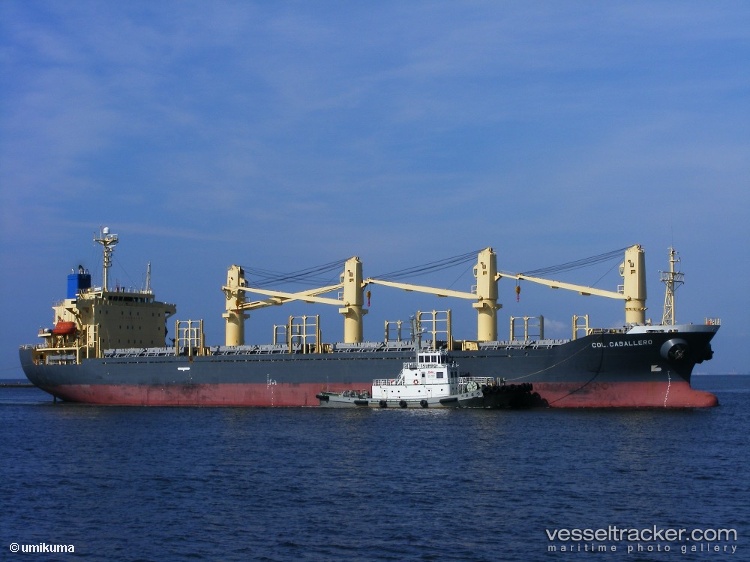 Tan-Binh-129 - Bulk Carrier vessel